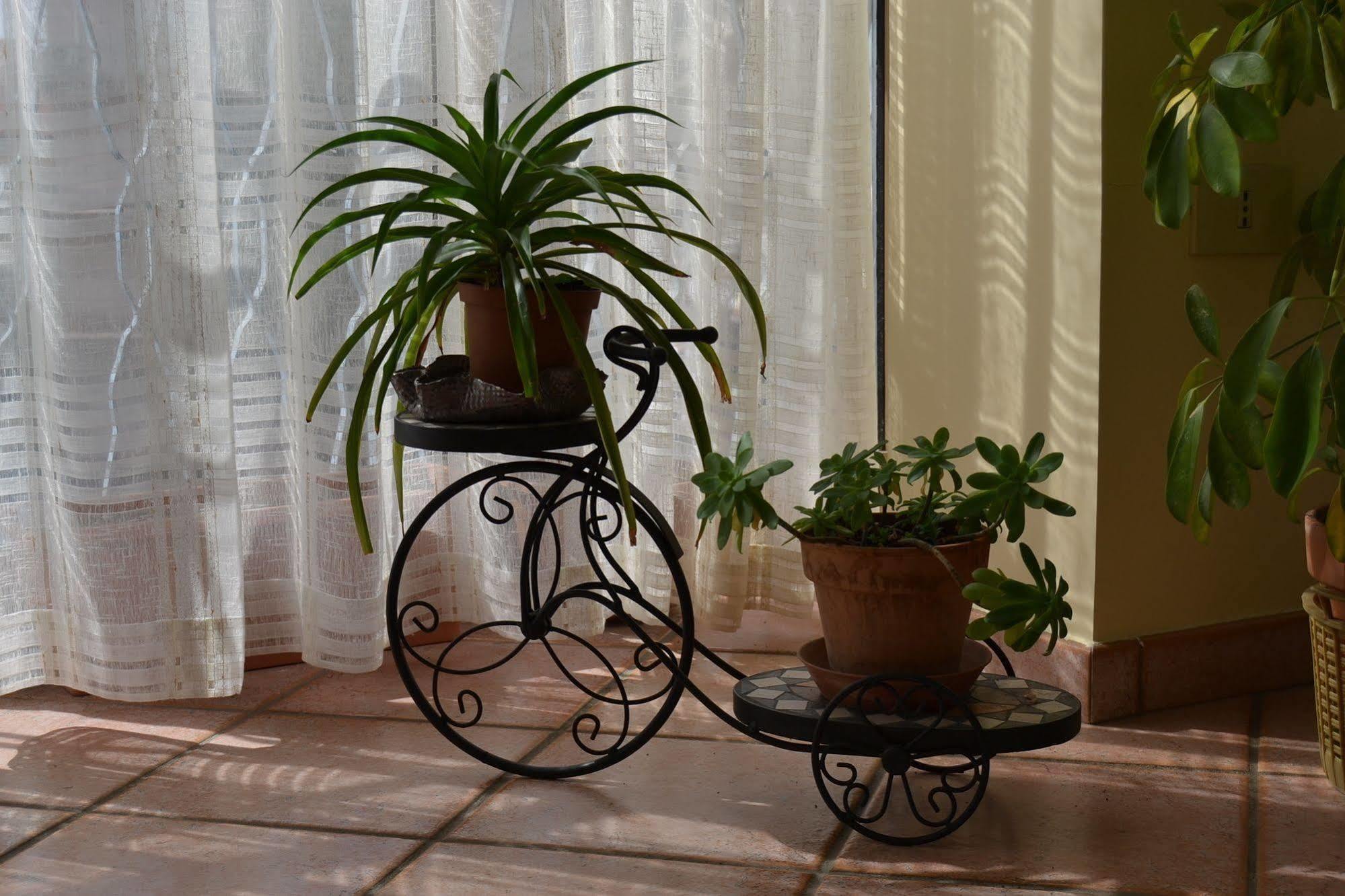Bed & Breakfast Marena Sant'Agata Li Battiati Zewnętrze zdjęcie